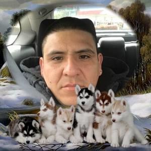 Meet your Posher, Anibal